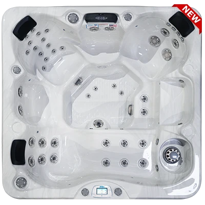 Avalon-X EC-849LX hot tubs for sale in Mobile