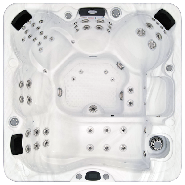 Avalon-X EC-867LX hot tubs for sale in Mobile