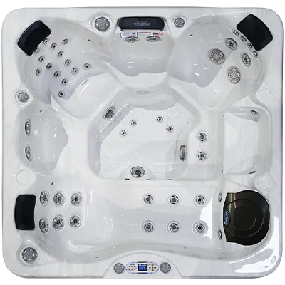 Avalon EC-849L hot tubs for sale in Mobile